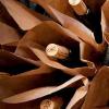 纳帕谷葡萄酒拍卖会为当地慈善机构筹资1,360万美元
