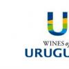 乌拉圭葡萄酒怎么样？