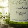 傻傻分不清：Muscat、Moscato、Muscadelle和Muscadet