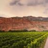 神奇的葡萄酒产区——美国大峡谷