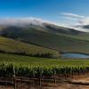 说说南非的核心葡萄酒产区——斯特兰德