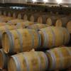 波尔多将成为世界领先的葡萄酒技术中心