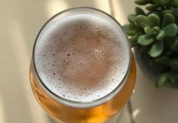 精酿啤酒商转向具有野生效果的觅食原料