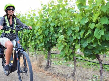 奥索尤斯的电动自行车与葡萄酒和啤酒