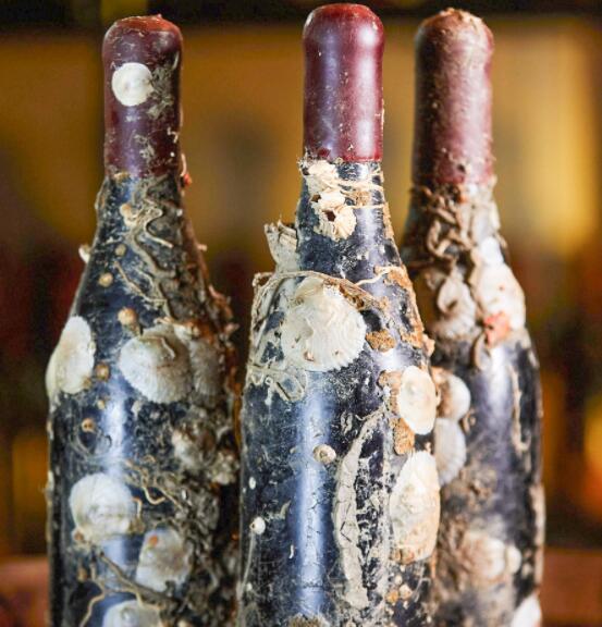 海底是理想的葡萄酒储藏地 对海洋生物的影响很小