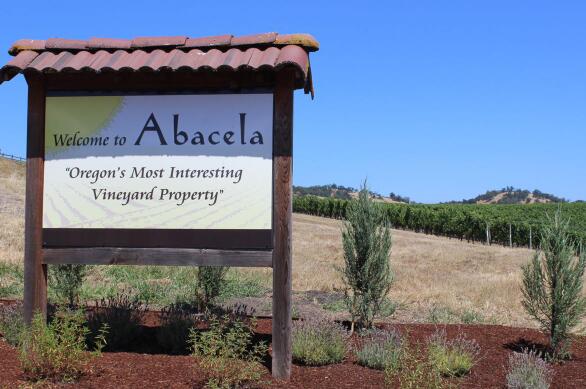 对气候的关注帮助Abacela生产屡获殊荣的葡萄酒