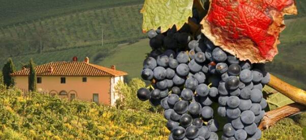 世界上最昂贵的意大利葡萄酒