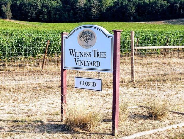 俄勒冈州酿酒师从葡萄酒行业火热退出