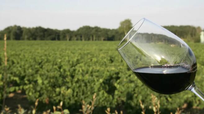 葡萄酒专家马修·尤克斯给出了他对今年该享用哪些酒瓶的判断