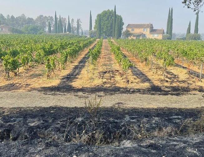 普罗旺斯葡萄酒产区遭近20年来最严重火灾损毁