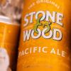 啤酒巨头狮子吞下石头和木材啤酒厂Fermentum