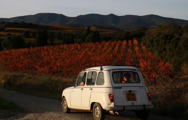 为什么葡萄酒爱好者会被这个靠近地中海海岸的小镇所吸引