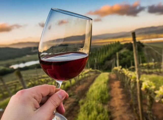 可冷藏的红葡萄酒可能是池畔的代名词 但它们同样适合长袖