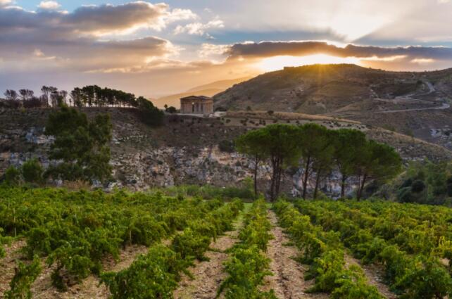 意大利最被忽视的葡萄酒产区之一的指南