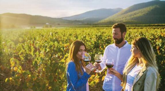 来自西班牙地区的超值葡萄酒 你可能没听说过