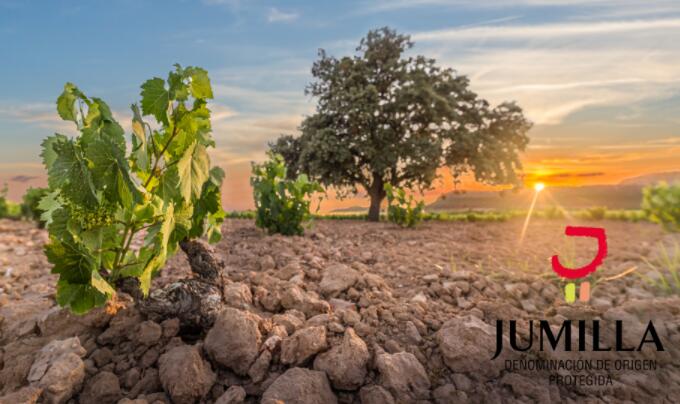 2021年葡萄酒与烈酒展品牌亮点:Jumilla PDO Wines