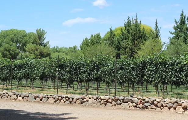 欢迎来到亚利桑那州北部的葡萄酒之乡:佛得角河谷品酒指南