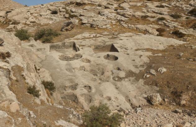 在伊拉克北部发现了2700年前的葡萄酒压榨机