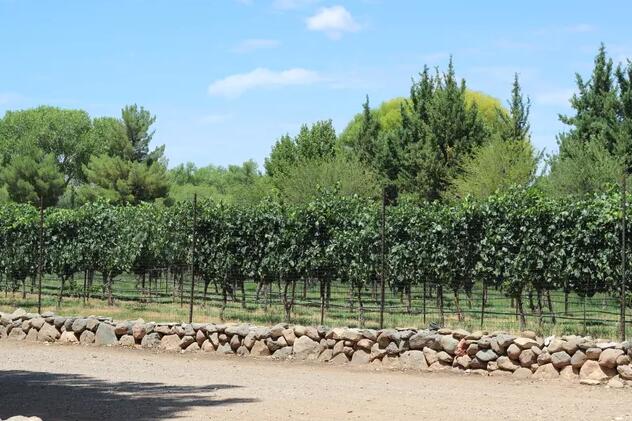 亚利桑那州的一个葡萄酒产区正式获得了AVA的认可