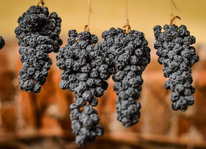 一种以其风格而闻名的意大利葡萄酒将焦点集中在单一葡萄园的地方感