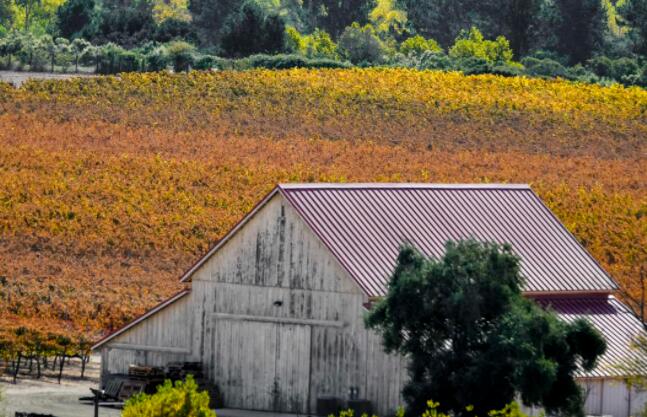 圣巴巴拉县荣获葡萄酒爱好者杂志颁发的年度葡萄酒产区奖