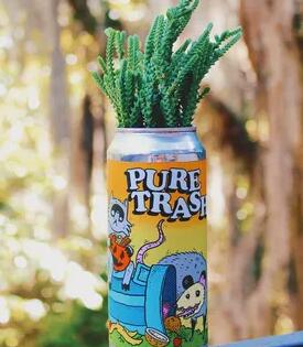 Open Container SAV将您最喜欢的当地精酿啤酒罐变成可回收的植物之家