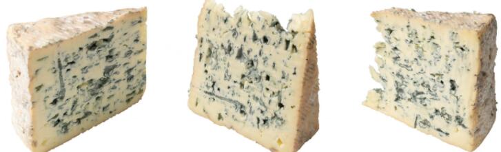古代粪便显示人类在2700年前以啤酒和蓝纹奶酪为食