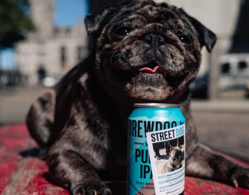 Brewdog与Ricky Gervais合作啤酒帮助流浪狗