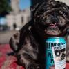 Brewdog与Ricky Gervais合作啤酒帮助流浪狗