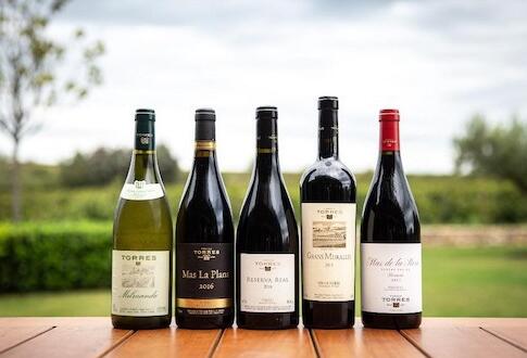 托雷斯被评为2022年全球最受赞赏的葡萄酒品牌